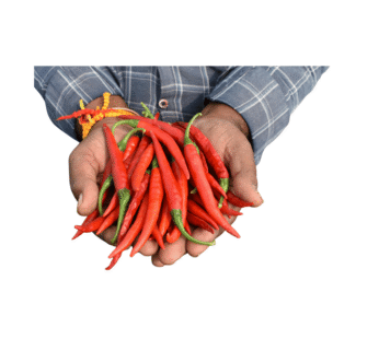 Fresh Green Chillies (100g Pack)