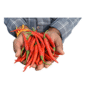 Fresh Green Chillies (100g Pack)