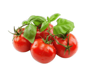 Fresh Tomatoes (1kg Pack)