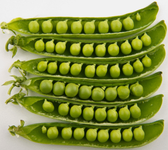 Matar (Peas)