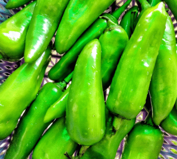 Mota Mirch (Large Chilli)